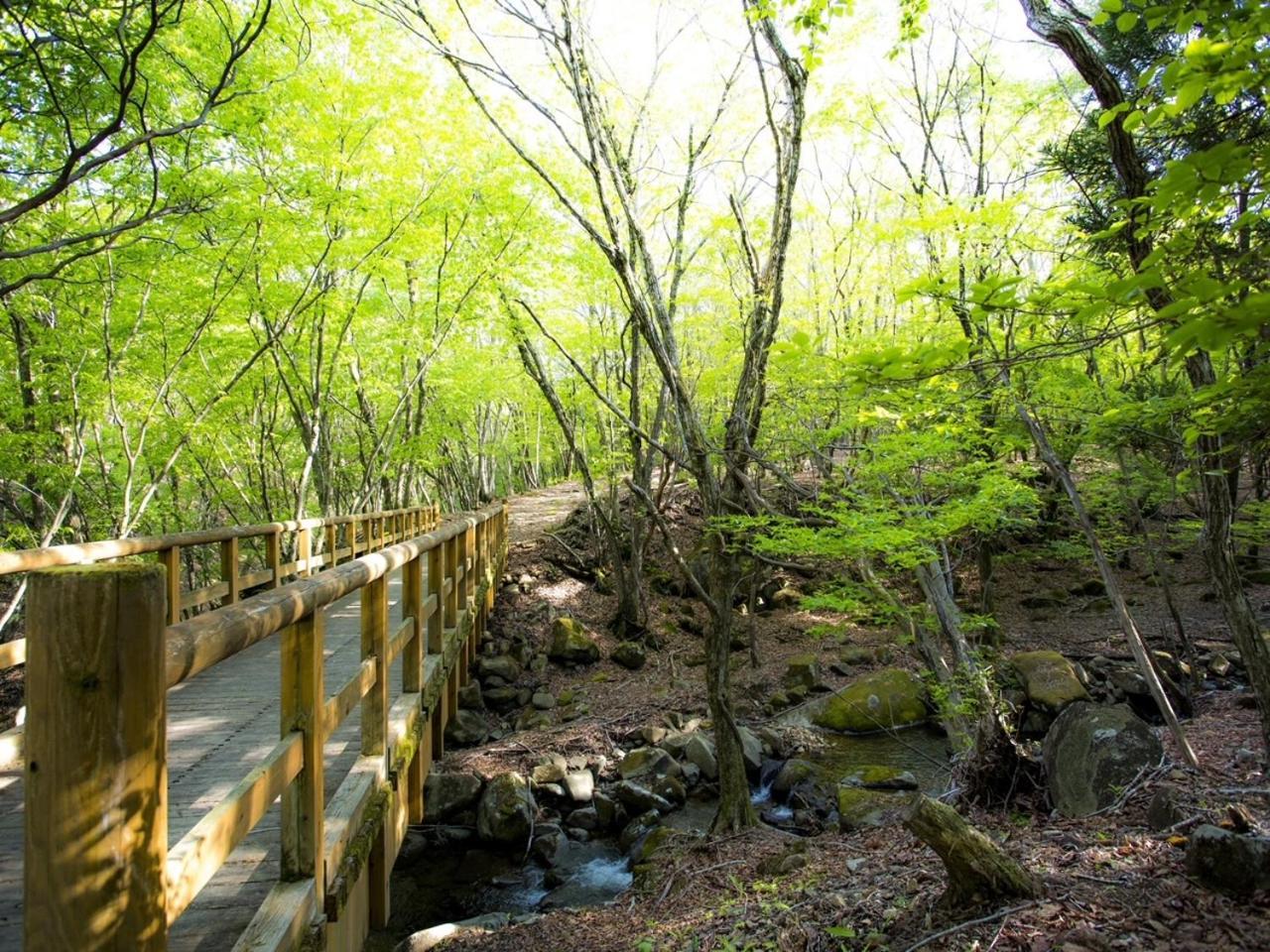 Mineyama Kogen Hotel Relaxia Kamikawa  Exteriér fotografie